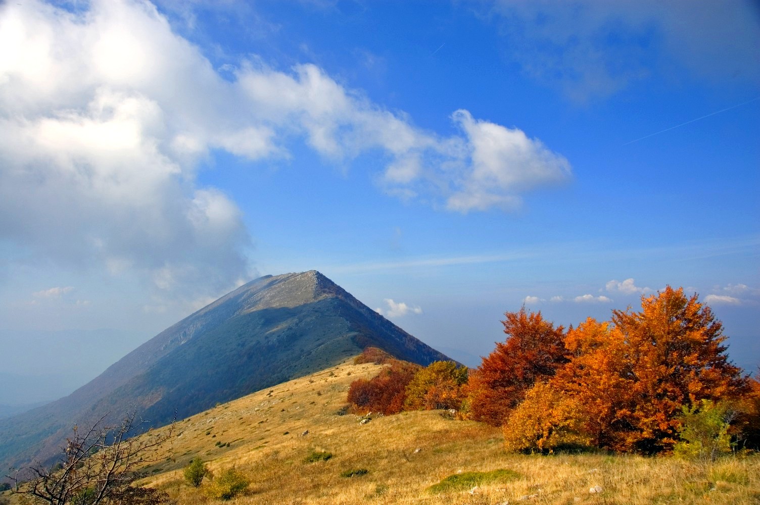 GO Niška Banja