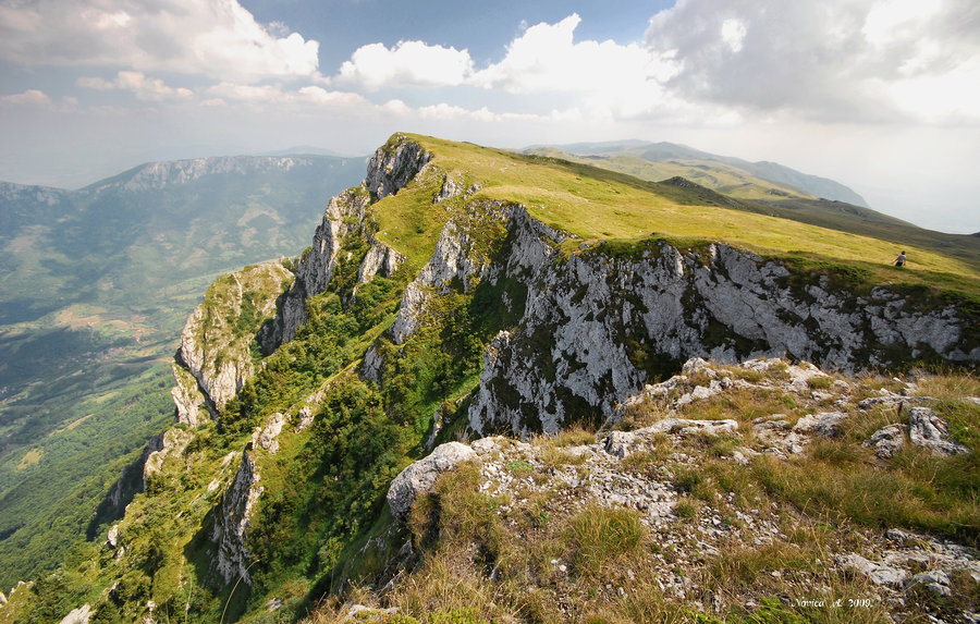 GO Niška Banja