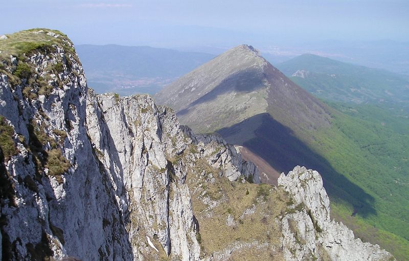 GO Niška Banja