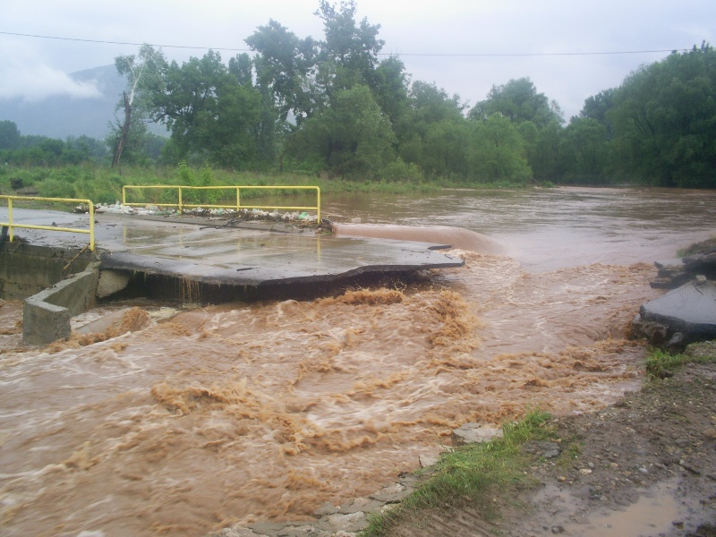 GO Niška Banja