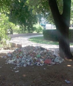 Ruglo kraj glavnog šetališta u Niškoj banji!