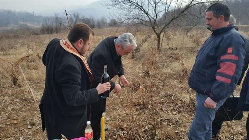 Празник воћара и виноградара обележен у Градској општини Нишка Бања