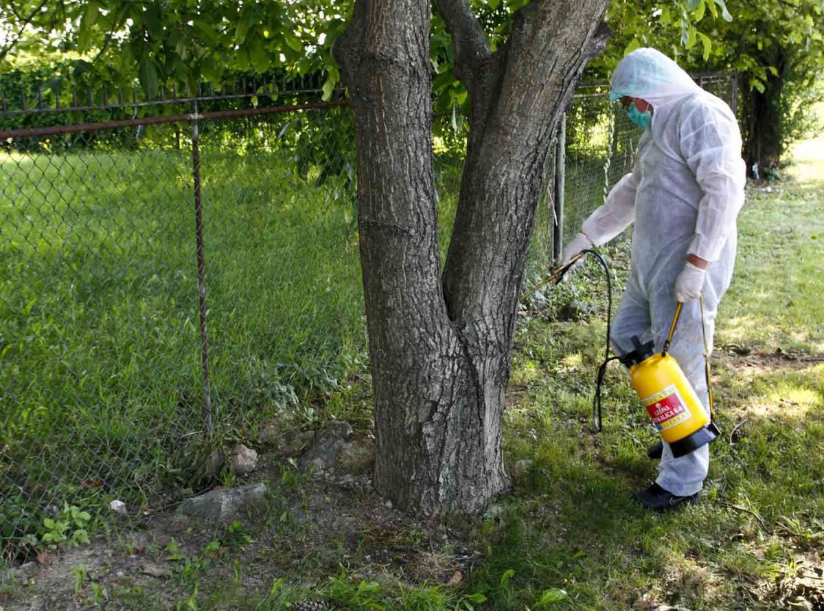 Operativni plan sprovođenja dezinsekcije na teritoriji GO Niška Banja Operativni plan sprovođenja dezinsekcije na teritoriji GO Niška Banja