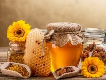 Sajam pčelarstva – festival polena