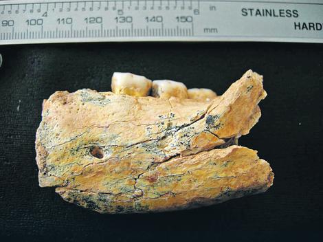 TAJNE PRAČOVEKA IZ NIŠA Kakvi su bili Balkanci neandertalci? TAJNE PRAČOVEKA IZ NIŠA Kakvi su bili Balkanci neandertalci?
