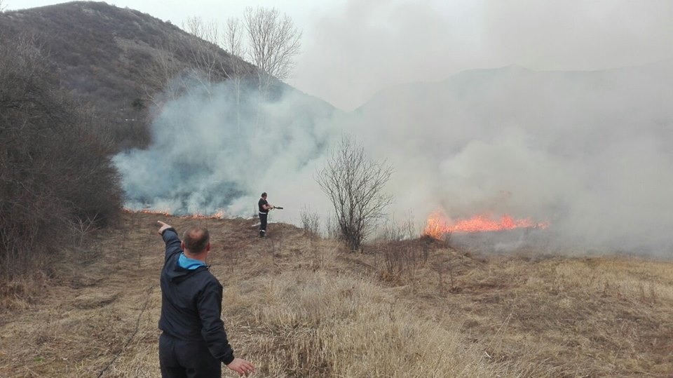 Izgorelo preko 20 hektara šume i vinograda na prostoru sela Ostrovica