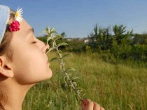 Les bons de réduction pour des vacances en Serbie!